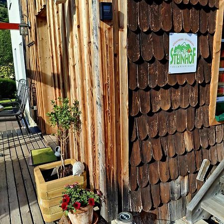Haus Steinhof Sankt Lorenzen ob Murau Exterior foto