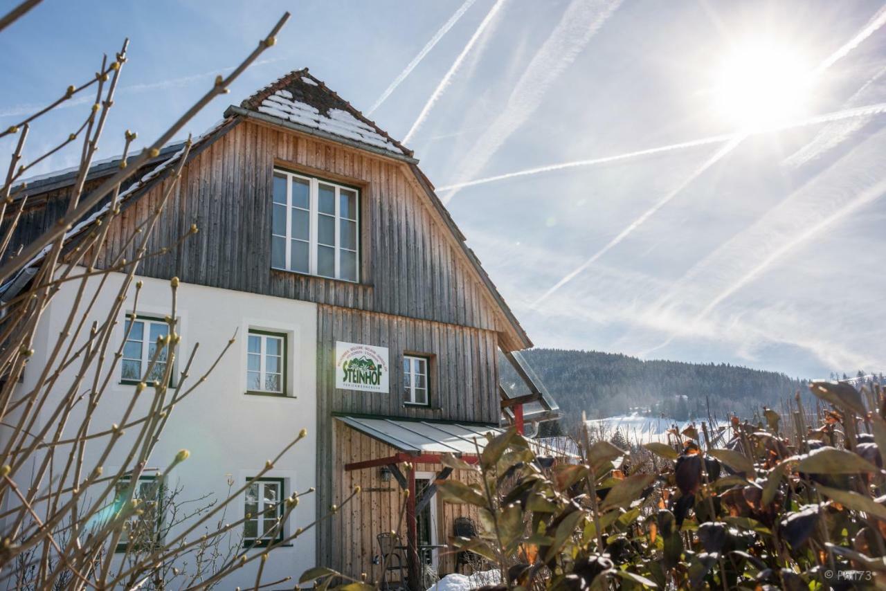 Haus Steinhof Sankt Lorenzen ob Murau Exterior foto