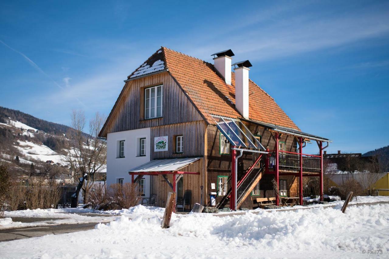 Haus Steinhof Sankt Lorenzen ob Murau Exterior foto